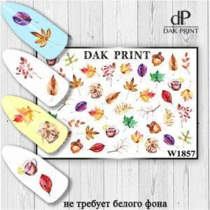 Наклейки для ногтей слайдер дизайн  W 1857