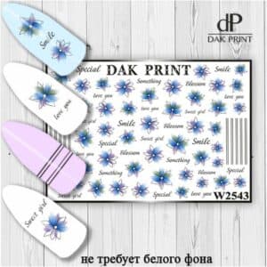 Наклейки для ногтей слайдер дизайн  W 2543